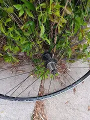 Campagnolo Calima C17 CHORUS 12-25 11 speed cassette ALL NIB