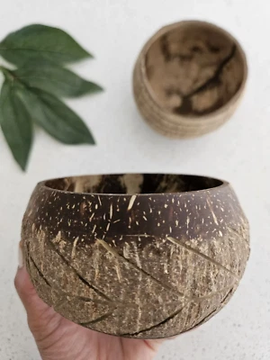 QToys USA Fish Bone Pattern Coconut Bowl