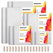 Pre Stretched Canvas for Painting 5 Assorted Size White Artist Blank Canvas f...