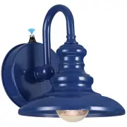Dusk to Dawn Sensor Outdoor Gooseneck Barn Light Fixtures Blue Exterior Wall ...