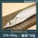 【北海漁鋪】 船內急凍特級秋刀魚 250-300g/包*8包