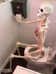 Crazy Bonez Pose-N-Stay Life Size 6 FT Skeleton with Realistic Posable and Movab