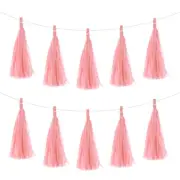 25Pcs Light Pink Tassel Garland Banner with Rope
