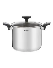 [Tefal] Emotion Induction Stockpot 6.2L in Stainless Steel