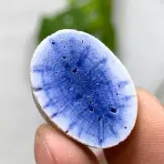 4G Natural Blue Coral Reef Cluster Marine Mineral Crystal Specimen