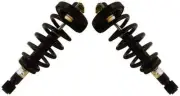Unity Rear Loaded Strut Coil Spring Assembly Pair Fits 2007-16 Ford Expedition (for: Ford)