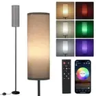 Frideko Floor Lamp for Bedroom, RGB Smart LED Bulb, 800LM, 3CCT&Brightness Gray