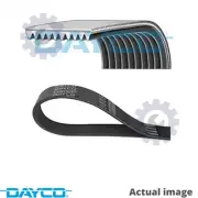 NEW V-RIBBED BELTS FOR NEOPLAN VOLVO MAN CENTROLINER D 0826 LOH 17 9700 EL DAYCO