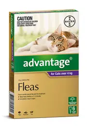 Spot-On Flea Control for Cats Over 4Kg, 6 Pack