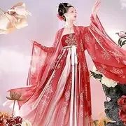 [MAIFURUN] Costume Women China Traditional Hanfu Lady Dress Tang Dynasty Beauty Princess Dance Clothing Fairy Cosplay Show