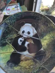 The Panda Collector plate. Brand new open box.
