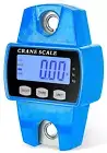 300kg / 660lb Portable Digital Crane Scale with Hooks, High Accuracy Game Scale