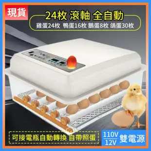孵化機 24枚蛋孵化器禽鸡鸭家禽全自動孵蛋器（带温度控制）全自動小雞孵化機【現貨免運】 (6.2折)