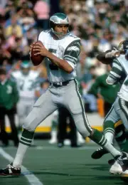 Quarterback Roman Gabriel Philadelphia Eagles drops back to pass - 1974 Photo 2