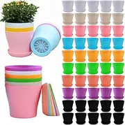 50 Pack 4 Inch Plant Pots Bulk Small Plastic Planters Pots with Drainage Holes Flower Pot for Succulent, Cactus, Herb, African Violet (50pcs-Multicolor, 4Inches)