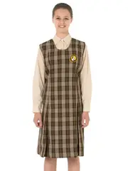 Brown Winter Tunic With Emb