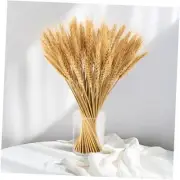 Sukh 100 Stems Dried Wheat Stalks for Decor - Wheat Sheaves Wheat Grass Decor