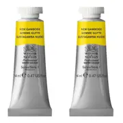 2x Winsor & Newton 14ml Professional Watercolour Artist/Craft Paint Gamboge S1