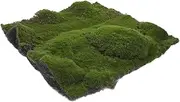 Simulated Moss Turf Rug 30cm x 30cm Artificial Grass Pad for Garden Decor Craft Projects