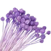 60 Pcs 16 Inch Dried Flowers for Vase Mini Pine Ball Flowers Purple(Stem)