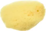 Zoo Med All Natural Hermit Crab Sea Sponge