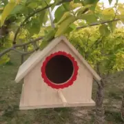 Lovoski Bird Nest Box Nesting Feeding Feeder Station House &Stick Yard