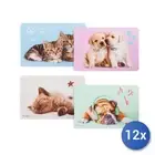 12x Placemats Polypropylene Decorum Animals, Assorted Cm45X30
