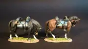 JOHN JENKINS BATTLE OF ROSEBUD 1876 HRSBUD-01B TWO U.S. CAVALRY HORSES