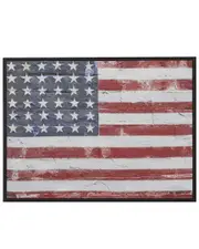The Novogratz American Flag Red Wood Wall Decor with Black Frame NoSize