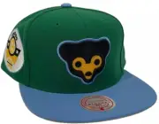 Chicago Cubs Mitchell & Ness Century Patch MLB Green Hat Cap Adult SnapBack NWT