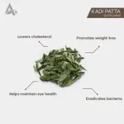 KADI PATTA – KARI LEAF – MEETHA NEEM – CURRY LEAVES