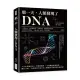那一天，人類發現了DNA：大腸桿菌、噬菌體研究、突變學說、雙螺旋結構模型