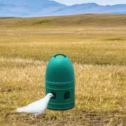 2 Pieces Pigeon Drinker Feeder Pigeon Water Dispenser for Quail Parrot Duck