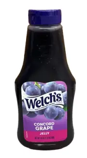 Welch's Concord Grape Jelly 20 oz Welchs