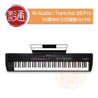 在飛比找PChome商店街優惠-【樂器通】 M-Audio / Hammer 88 Pro 