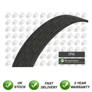 V Ribbed Drive Belt SJR Fits Renault Clio 2005- 1.1 1.2 8200830184