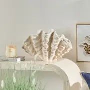 Cove Shell Planter [MUSHCOVPS24]
