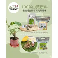 在飛比找森森購物網優惠-【阿里山極邊山葵】獨家研發100% 純山葵 醬+麵 組(山葵