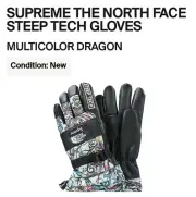 Size M - Supreme x The North Face Steep Tech Gloves (FW22)(Multicolor Dragon)