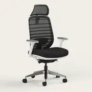 Recess Ergo Pro 2.0 | Ergonomic Chair | Mesh Office Chair | Sustainable Office Furniture, Full Moon / Headrest