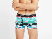 Bonds Mens MX3NT DW1 Holiday Sweater Print GuyFront Trunk Brief Size L New
