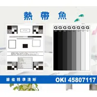 在飛比找蝦皮購物優惠-OKI  相容碳粉匣 黑色 45807117 適用: ES5