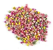 Mini Dried Flowers for Resin, Small Dried Flowers for Crafts Resin Nails, Tiny Natural Real Dried Pressed Flowers for DIY Jewelry Earrings Epoxy Molds Candles Soap Making, Pack of 140 (Mix-Color)
