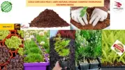 COCO COIR COCO PEAT 100% NATURAL ORGANIC COMPOST HYDROPONIC GROWING MEDIA FREE
