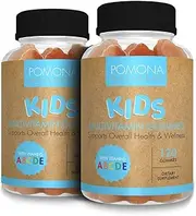[Pomona Wellness] Daily Kids Multivitamin Gummies, Supports Overall Health and Immune Support, Vitamins and Minerals Gummy, A, C, D, E, Bs, Zinc, Vegetarian, Fruit Flavor, 120 Count (2 Pack)