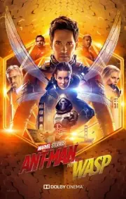 Marvel Ant Man & the Wasp 11" x 17" Collector's Movie Poster ( T3 )