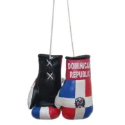 Dominican Republic Boxing Glove / Dominican Republic Flag