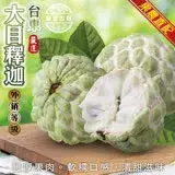 在飛比找遠傳friDay購物優惠-【果農直送】台東大目釋迦(7-10顆_約10斤/箱)