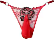 [FBIEE88TR] Mens Sheer Lace Thongs Embroidered T-Back G-Strings Mesh Low Waist Briefs Underwear(Red)