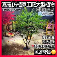 在飛比找蝦皮購物優惠-仿真植物 嘉義仿植家客製化大型植物 南天竹 榕樹 假植物 橄